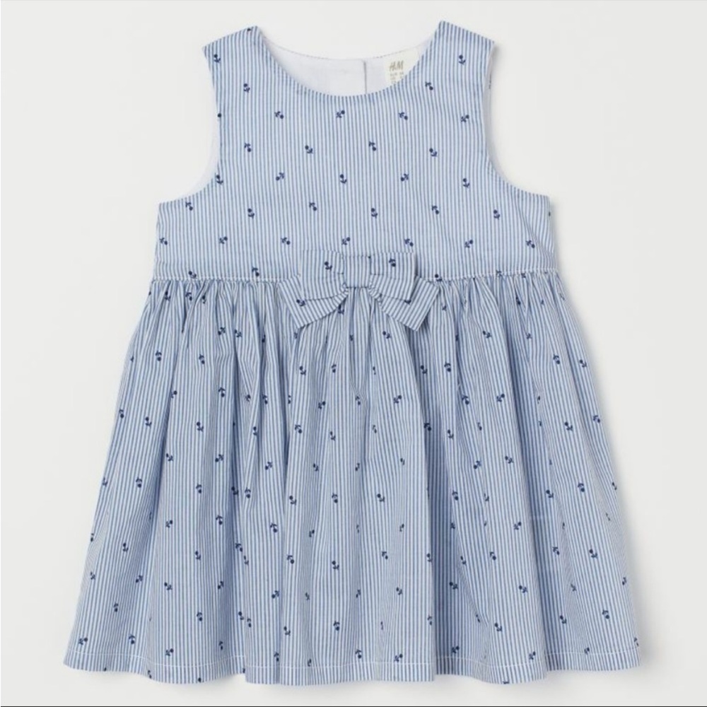 H&M Floral Blue Striped Dress